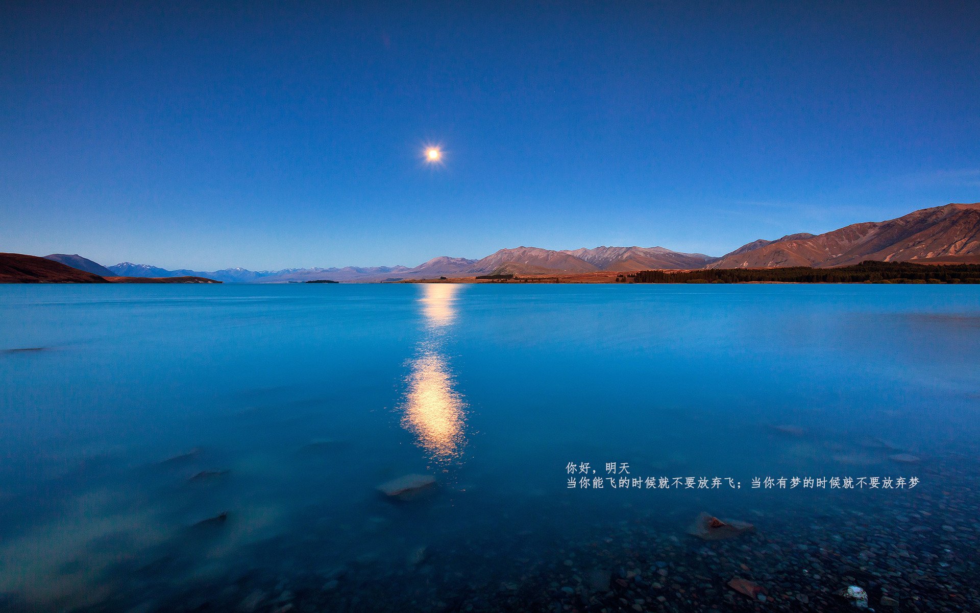 “青训教练员资格认证体系全面升级，竞技水平再提升”，职业梯队青训教练招聘