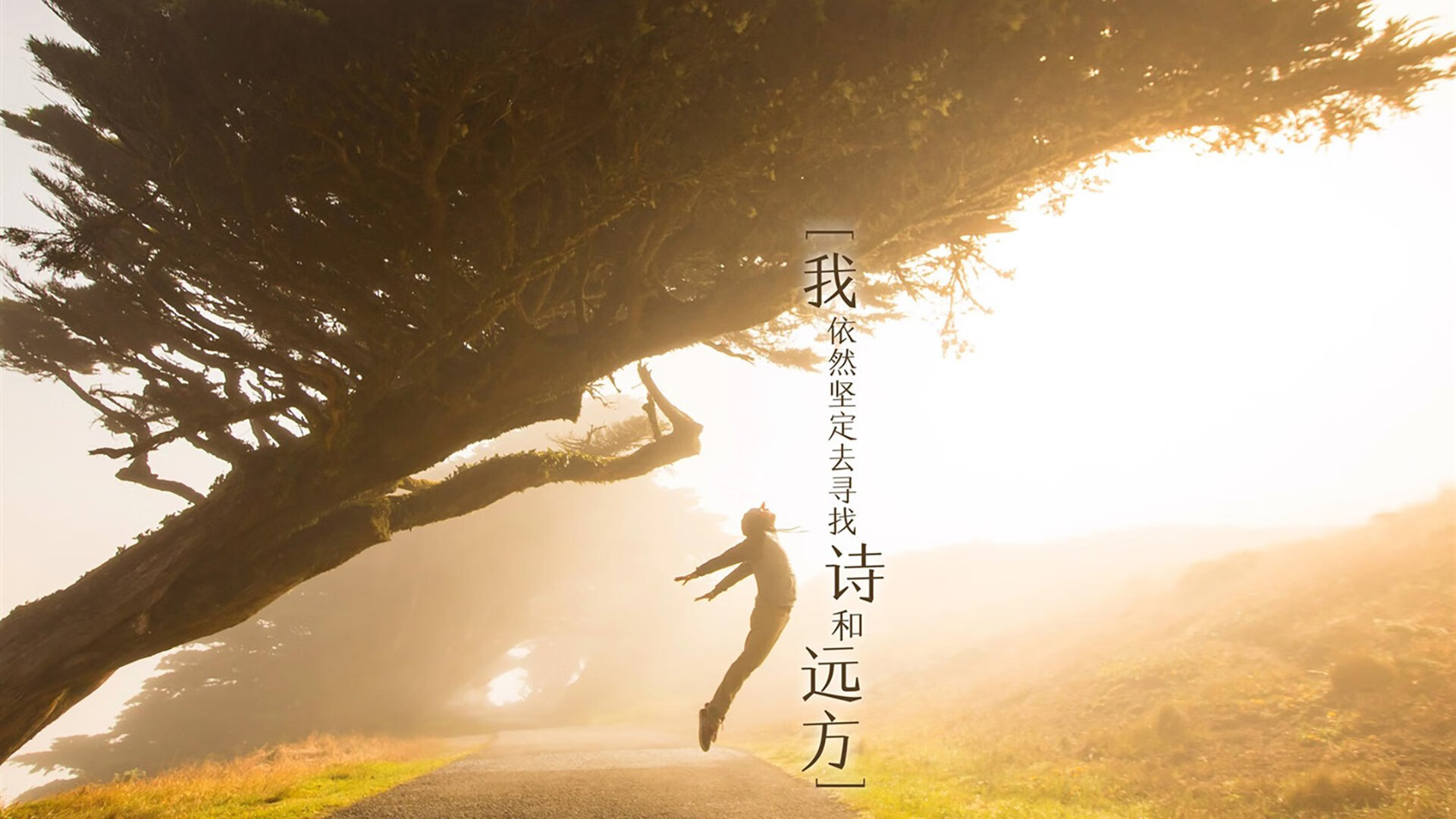 “青训联盟签署战略合作协议,推动全国青少年足球一体化发展”