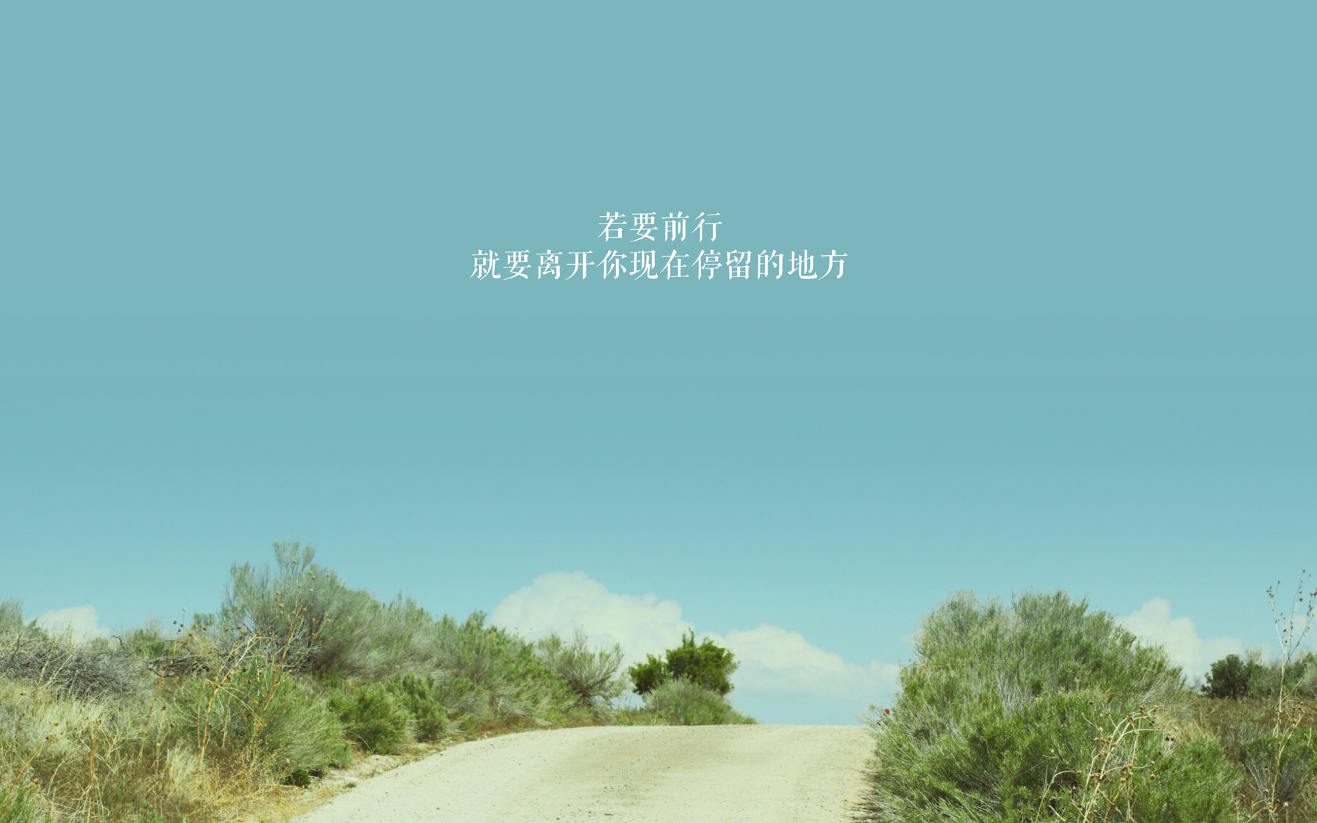 中国赛车手勇夺世界耐力赛冠军,刷新国内纪录,中国cec耐力赛