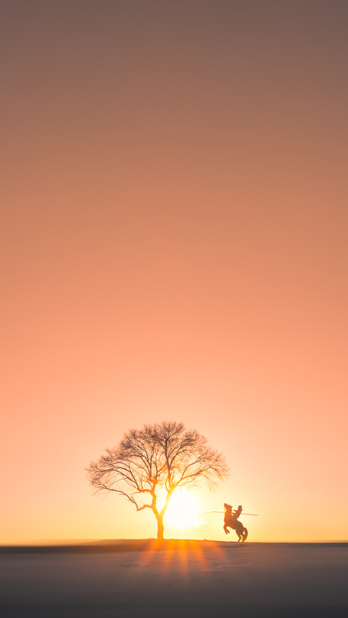 摩洛哥马术协会推出马匹健康管理系统，提升马匹福利。，摩洛哥皇家马厩介绍