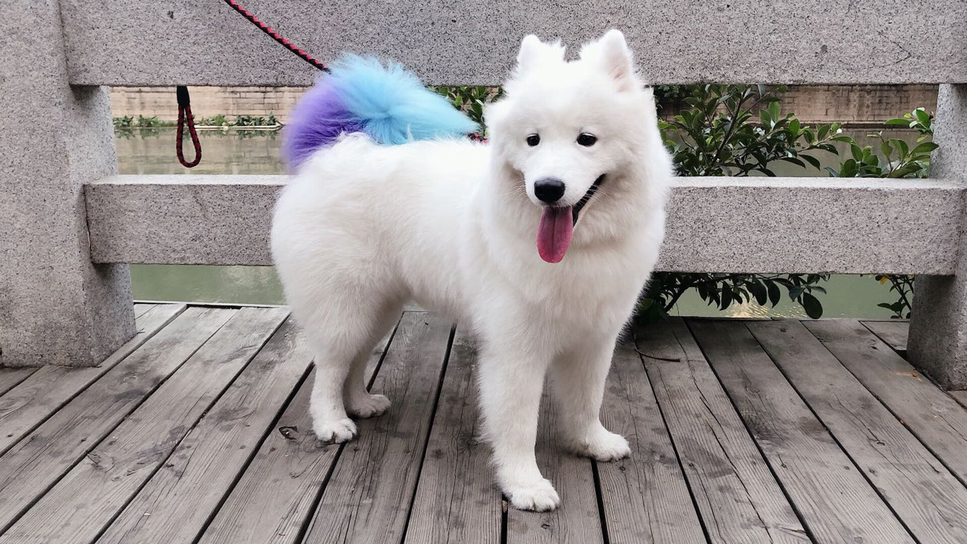 莱万个人第220球，德甲史上顶级射手再创纪录，德甲 莱万