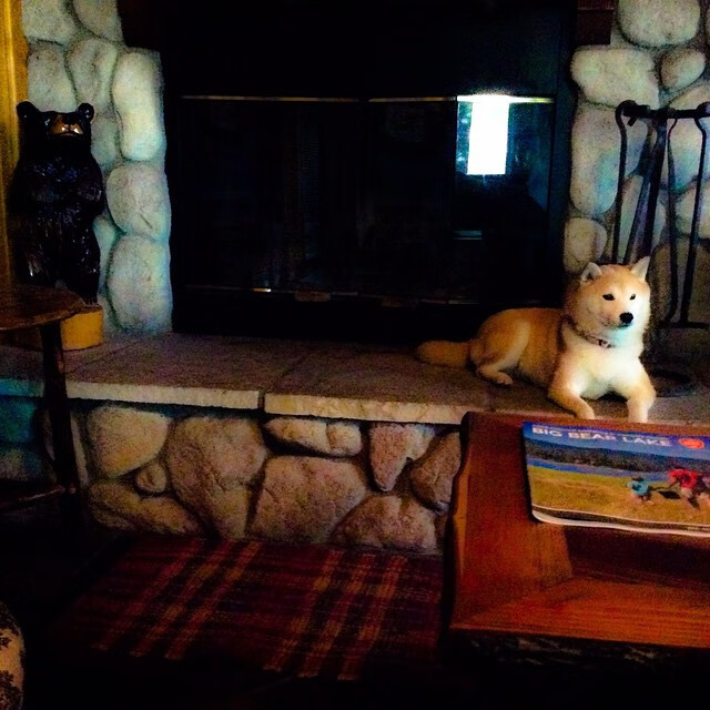 足协发布新规限制青少年球员流动,青少年足球注册人口