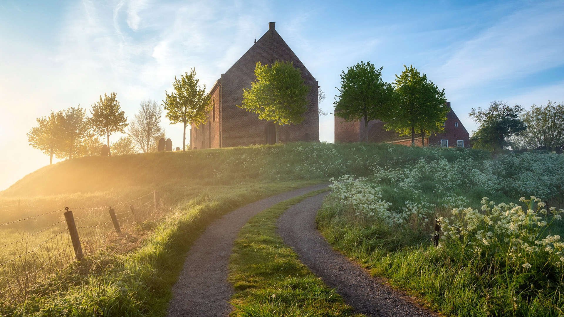 Team Liquid战队品牌价值再创新高，team liquid官网