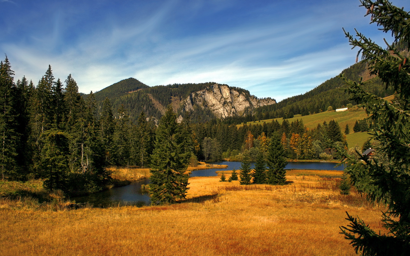 中超俱乐部启动球迷文化周，热情高涨，中超球队球迷数量排行