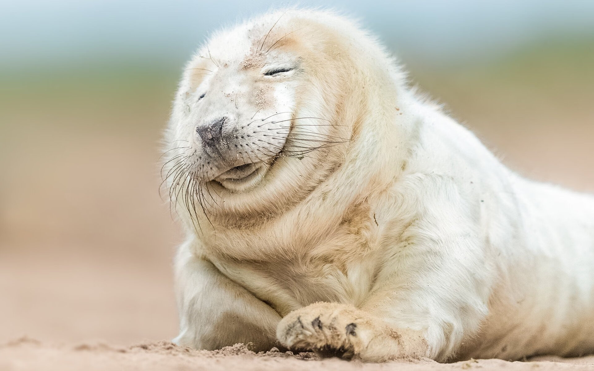 女足联赛技术含量提升,竞争日趋激烈,女足对手