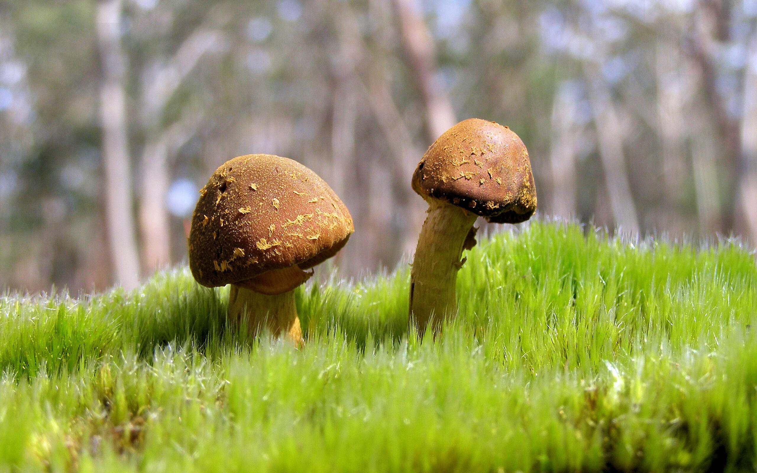 女足超级杯开战,武汉女足首战告捷,武汉女足青训