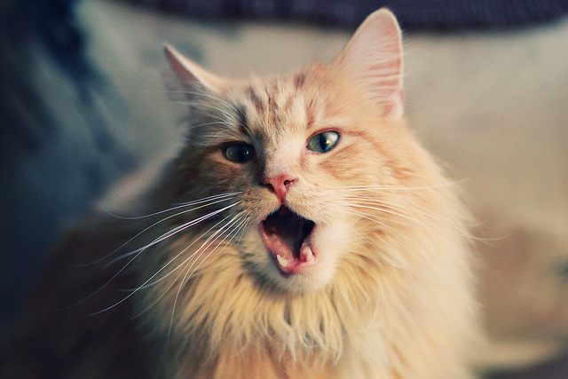 女足超级联赛首轮结束，武汉女足豪取开门红，武汉女足首夺女超联赛冠军