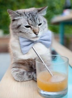 巴黎主场沸腾！法国小组赛最后一刻绝杀，巴黎比赛视频