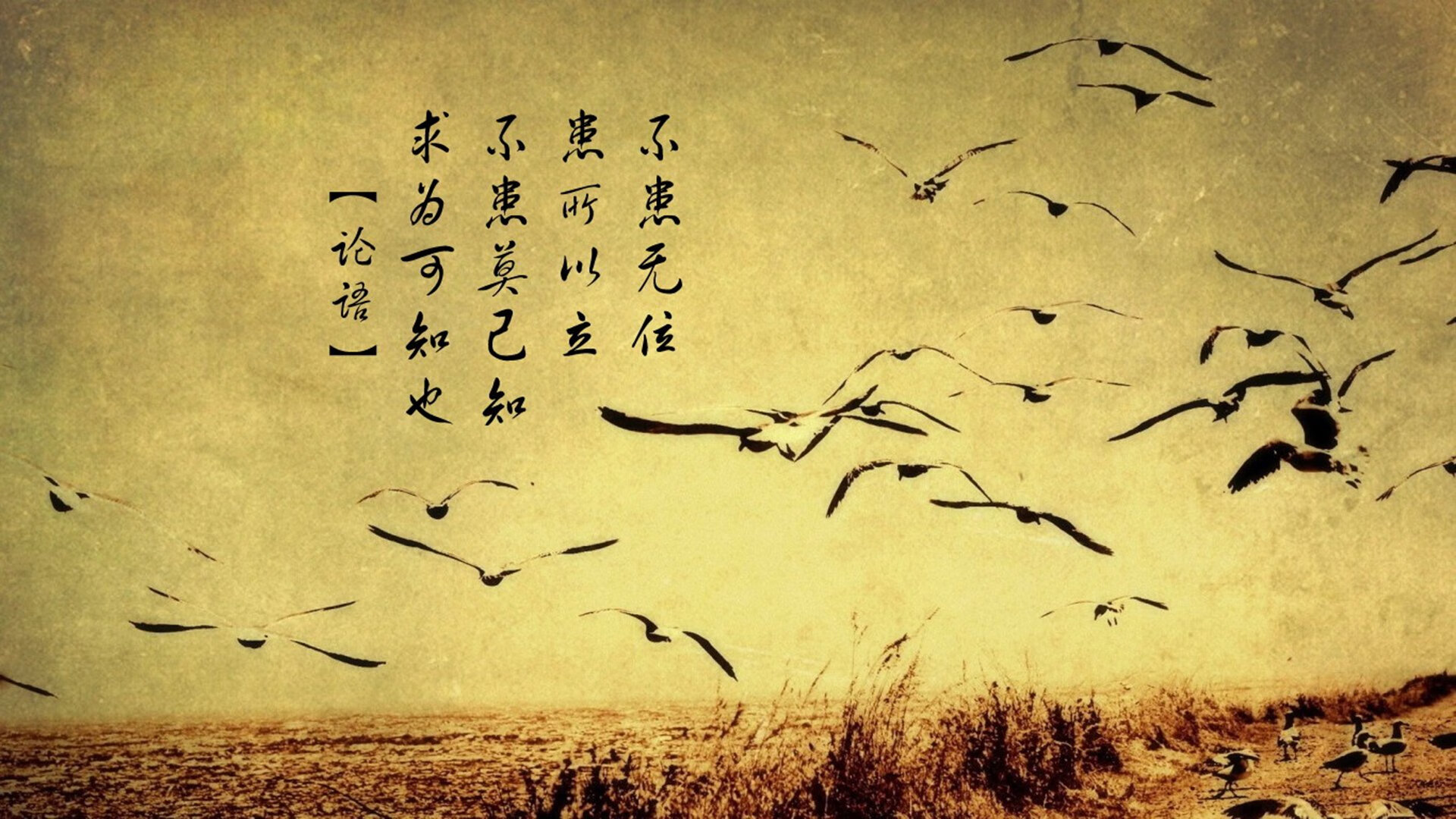 悬念丛生拳击临场换对手局势突变，拳击into