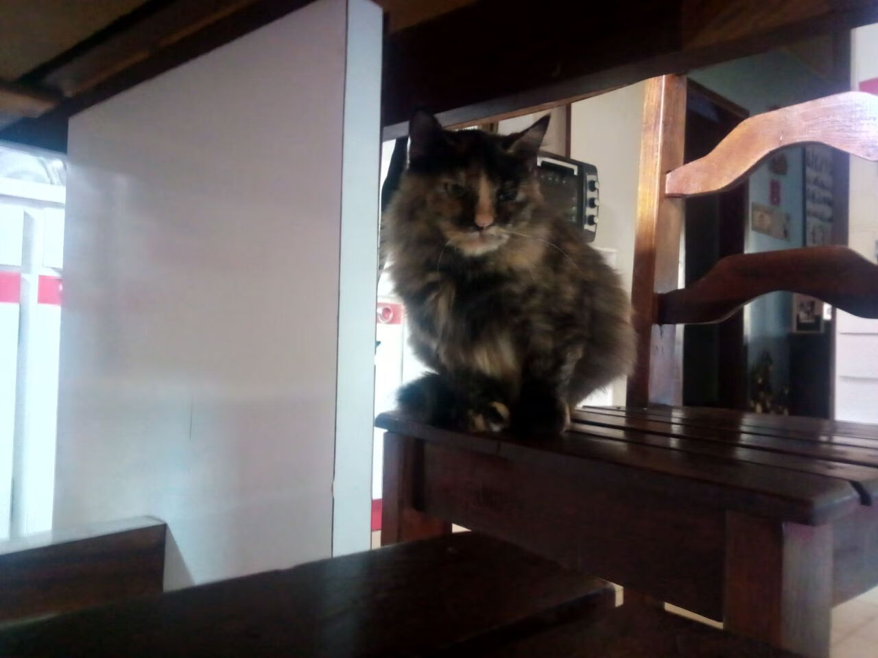 本土球员培养是否受到战绩压力牺牲,本土球员最多的俱乐部