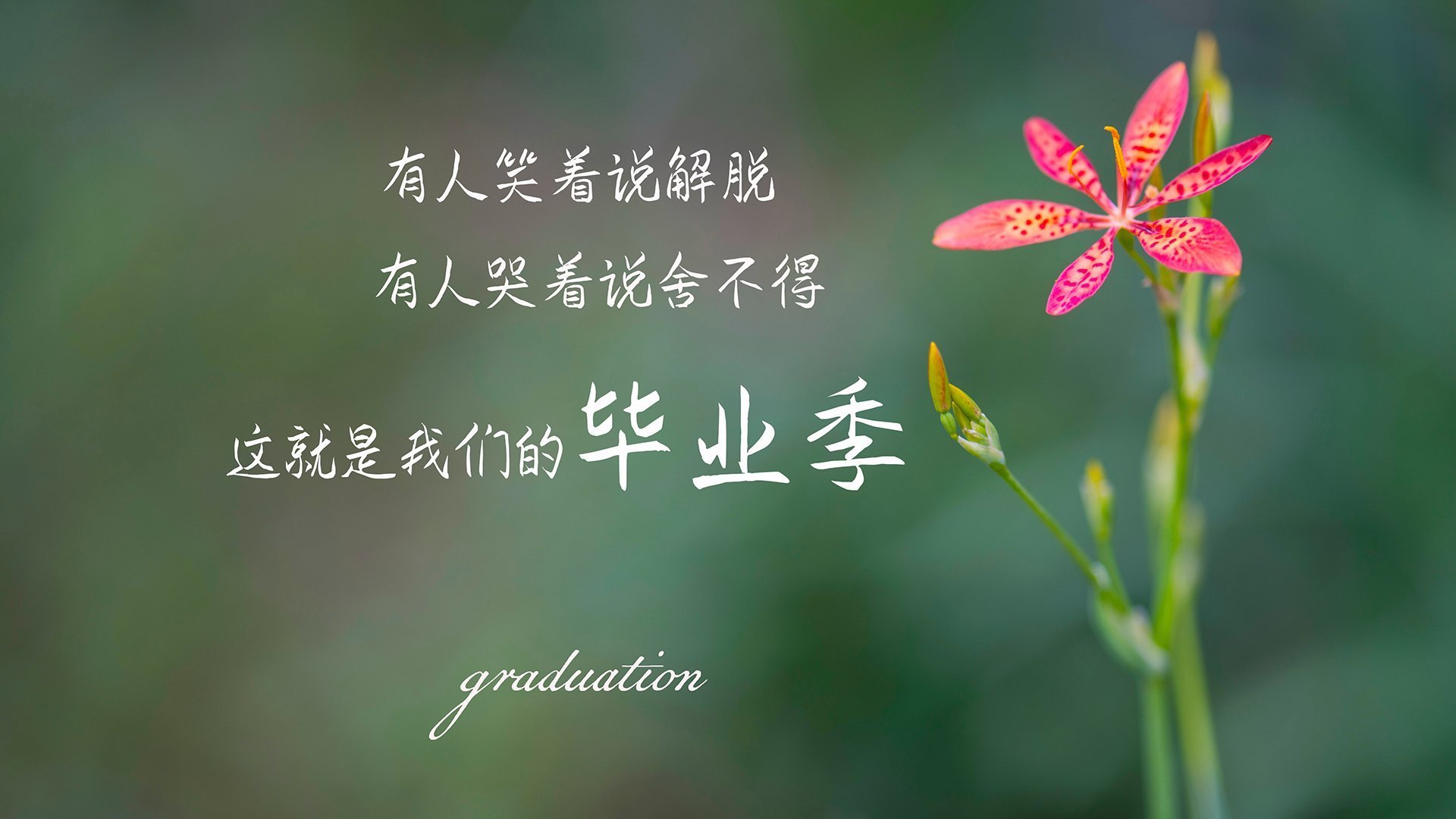 皇马头号射手轮休，球队攻击力明显削弱