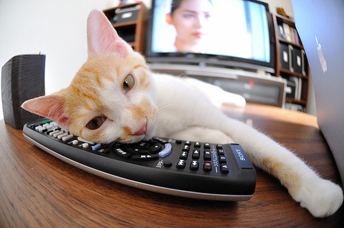 中国三人篮球女队持续创新战术，中国三人篮球女队持续创新战术视频