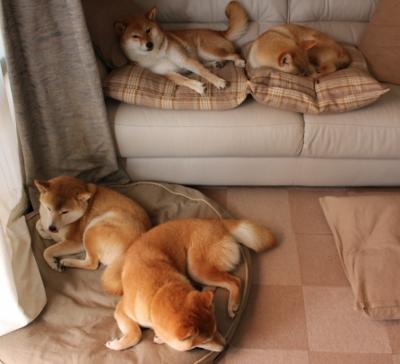 拉齐奥高效传控主导比赛场面,拉齐奥贴吧