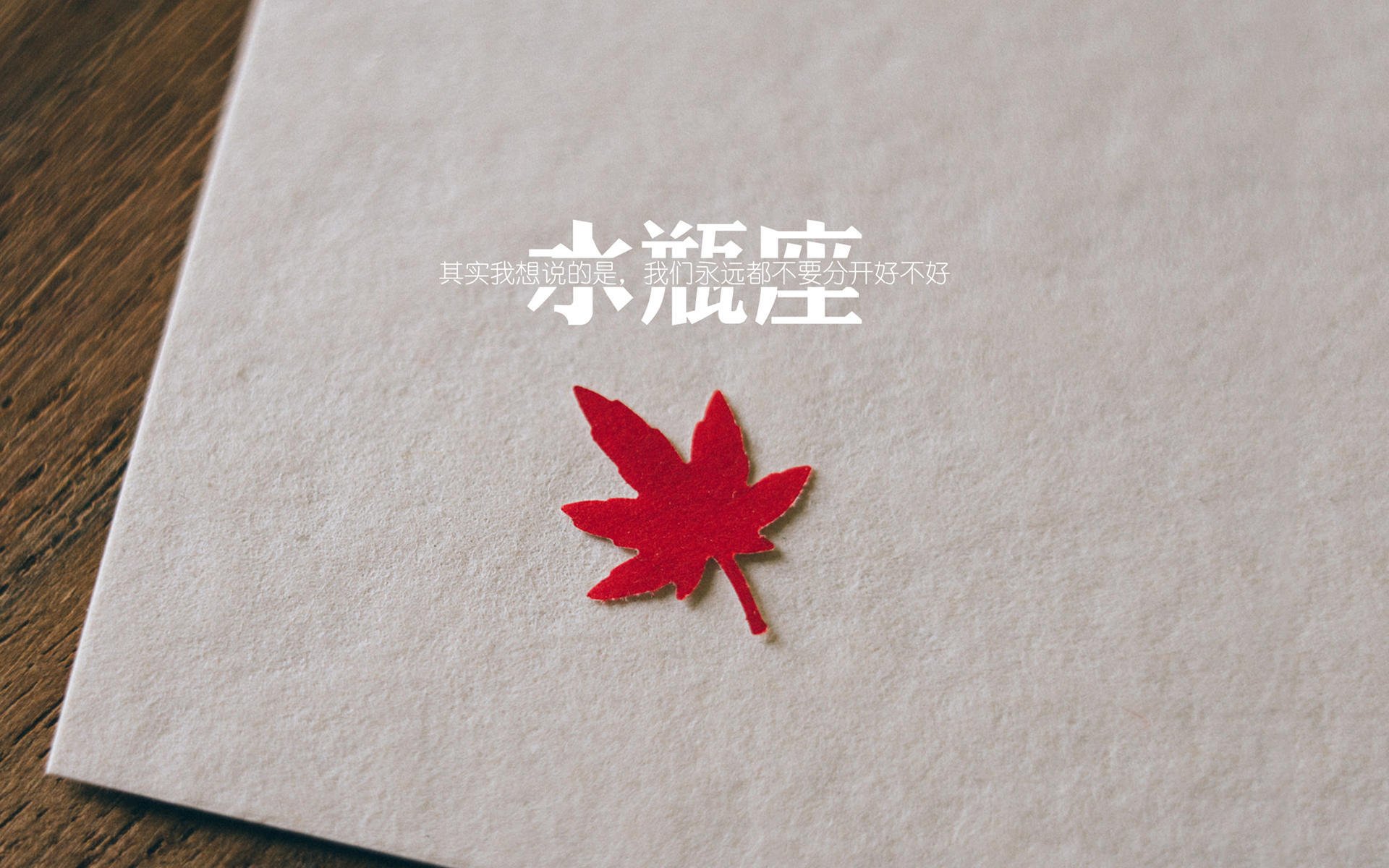 深圳领航队提升换防速度强化整体防守，深圳领航队女领队