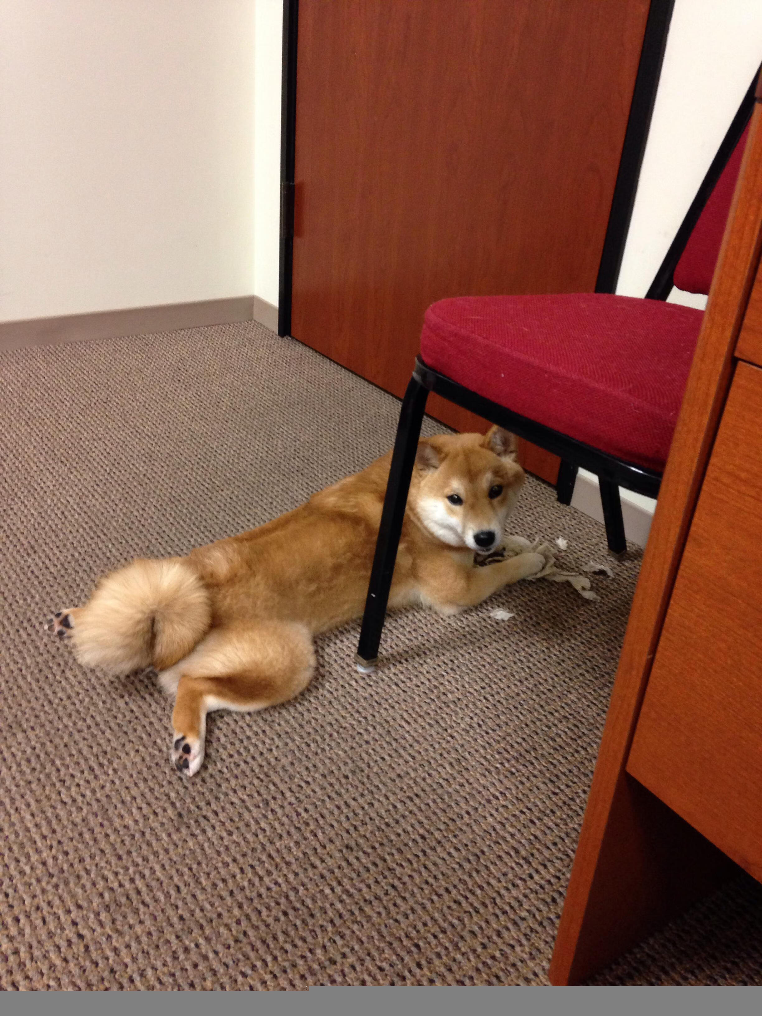 球员在高节奏对抗中如何保持技术动作稳定，球员在高节奏对抗中如何保持技术动作稳定