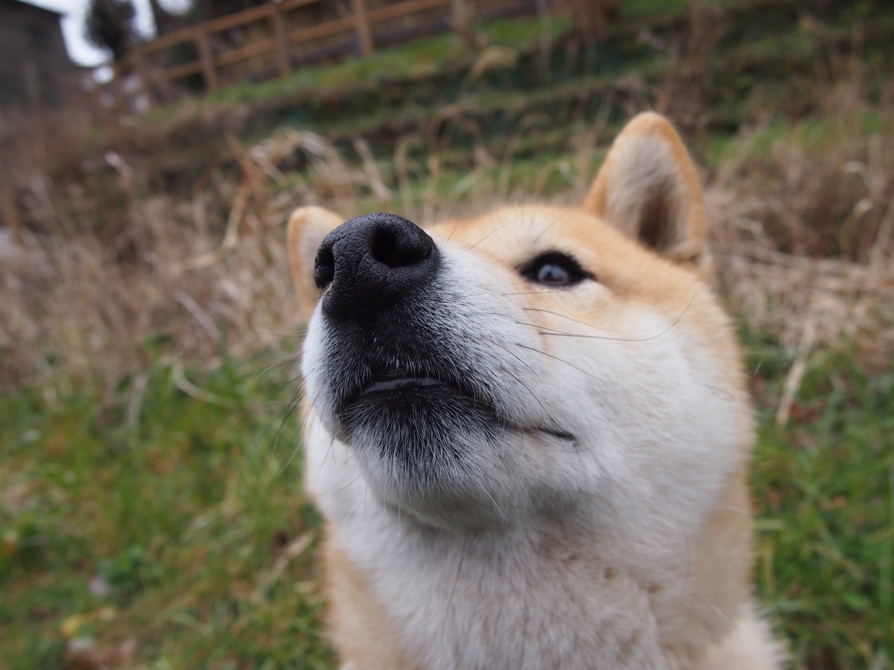 瑞安的个人突破能力，使全黑队的进攻变得更加多样化，瑞安打黑最新新闻